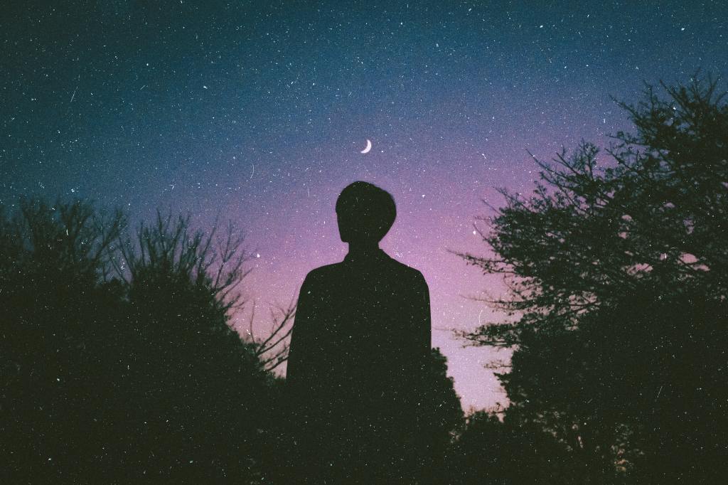 Person in silhouette looking at the night sky.