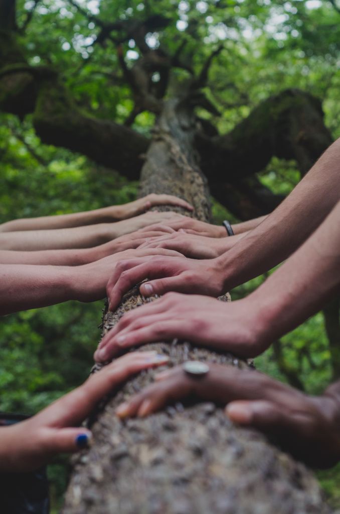 Hands placed side by side on a tree trunk in the woods